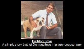 bulldog love Ellie the Wonder Dog